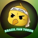 Brazil Fan Token - DOXX SAFU KYC AUDIT