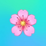 女素材带证 PS素材 PS包装