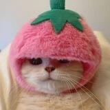 PINKY