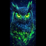 🦉GOLDEN OWL