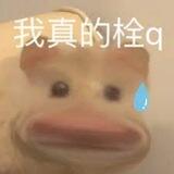 揭露骗局吧