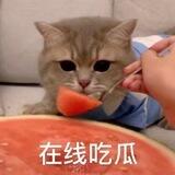 新电报吃瓜#色情版