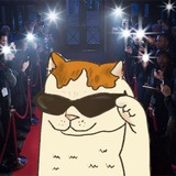 Cool cat on BNB