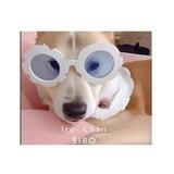 Iro-Chan $IRO