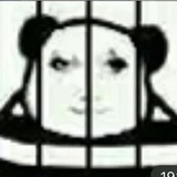 高中生交流
