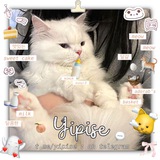 ◌ 𓂂 저장소. baby — yipise 🎂 𓏸 ˚.