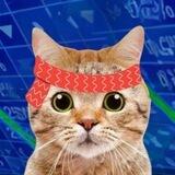 Cat Wif Band - PORTAL