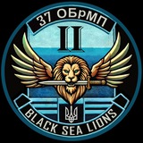 Black Sea Lions 37 ОБрМП