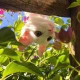 𝚃𝚑𝚎𝚛𝚊𝚙𝚢🌱