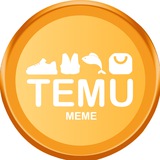 TEMU MEME