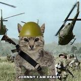 WAR