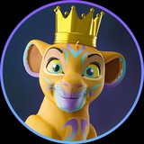 Solcat Portal🦁