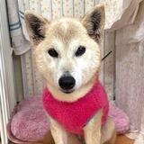 Ito-chan | Neiro's Old Name | Official