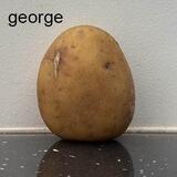 George CTO