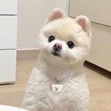 MINU CTO PORTAL