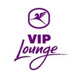 VIP Lounge Внуково