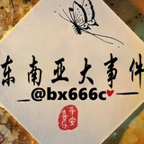 东南亚大事件（曝光）
