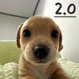 BILLY 2.0