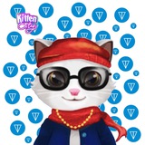 Kitten City Announcement