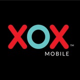 深圳XOX老师签到总群