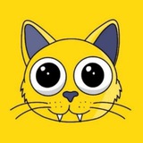 CATSON BNB