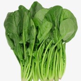 菠菜业务大全