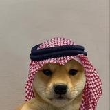 dogwifagal