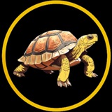 SimpleNSteady Portal For Official Group Chat