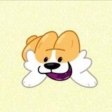Corgi life chat