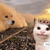 альтмемы