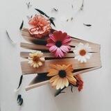 🔍 صــورة وكـتــابـة ✍