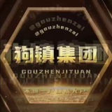 狗镇卡码代收大群