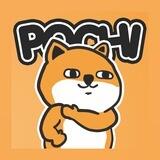 Pochi | Japanese Dog