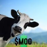 MOO ON SOL PORTAL