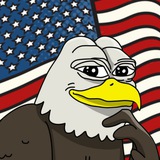 The American Bald Eagle | $PEWPEW