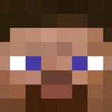 Steve - Portal