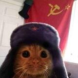 Communist Cat - $CCAT