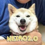 NEIRO 2.0 Community
