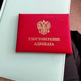 Адвокат Мамаева Дарья