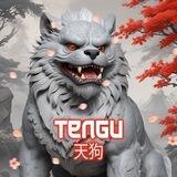 $TENGU 天狗