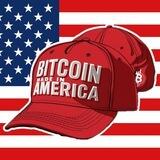 BITCOIN MADE IN AMERICA