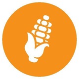 Corn 한국 공식 커뮤니티