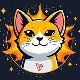 SunCat