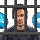 FREE PAVEL $FREEPAV