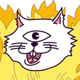 Gege Akutami | Famous Japanese Neko Cat