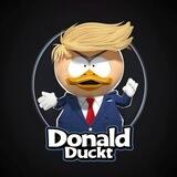 Donald Duckt Portal