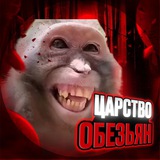 Царство обезьян