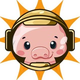 $SUNPIG Official