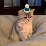 Grumpie Portal