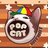 222 Days old| PopcatWifHat | CTO | Popcat Holds PopcatWifHat